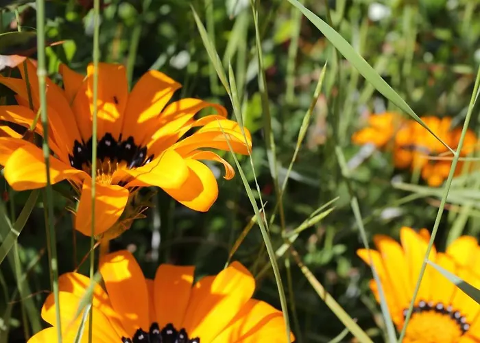 By The Sea Lumbarda, Korcula - 4385 Διαμέρισμα Λομπάρδα