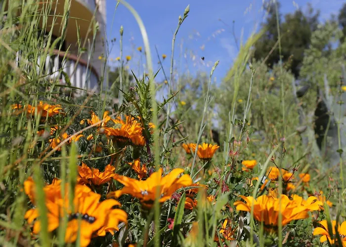 By The Sea Lumbarda, Korcula - 4385 *