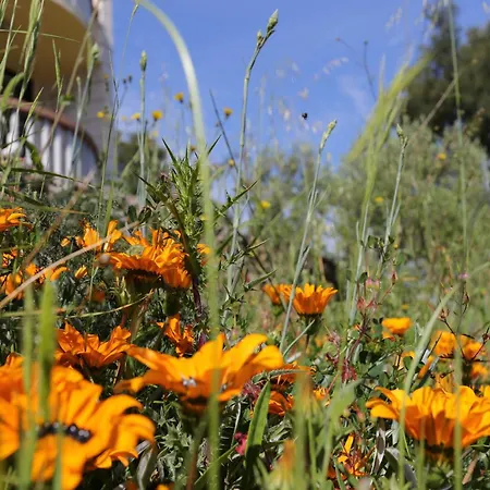 By The Sea Lumbarda, Korcula - 4385 *